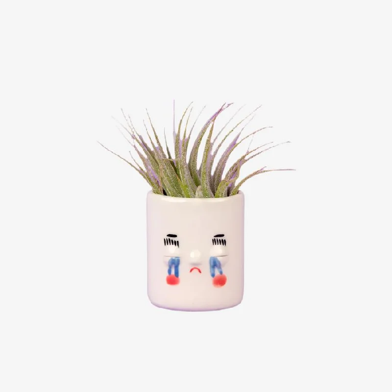 Mini Pal Planter with Airplant - Crybaby